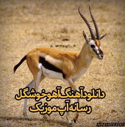 دانلود آهنگ آهویی دارم خوشگله