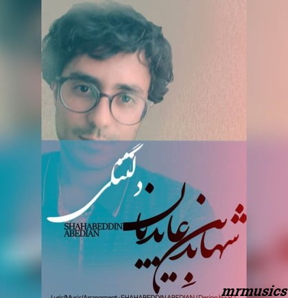 دانلود آهنگ شهابدین عابدیان دلتنگی